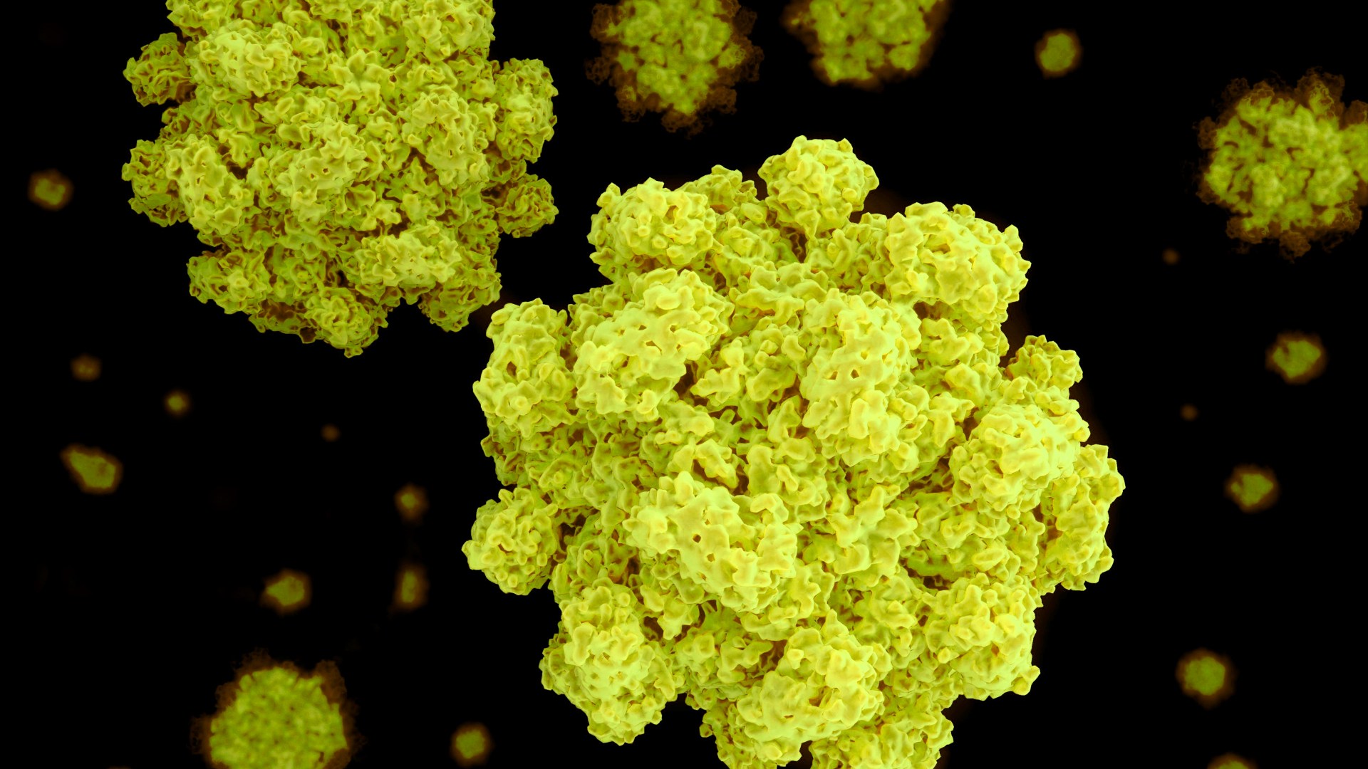 "Expert Warns of Surge in Projectile Vomiting Bug Norovirus Cases this Christmas: 12 Ways to Protect Yourself"