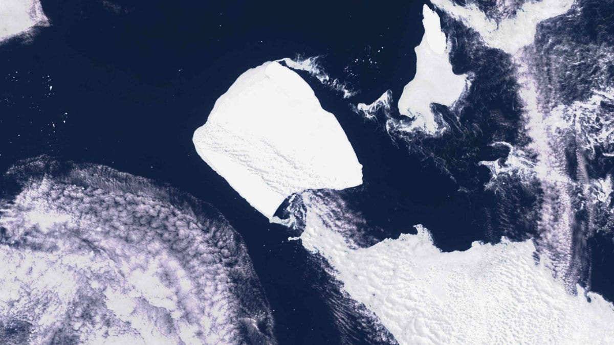 Featured image for "Massive Iceberg A23a Spins and Moves After Breaking Free from Antarctica"