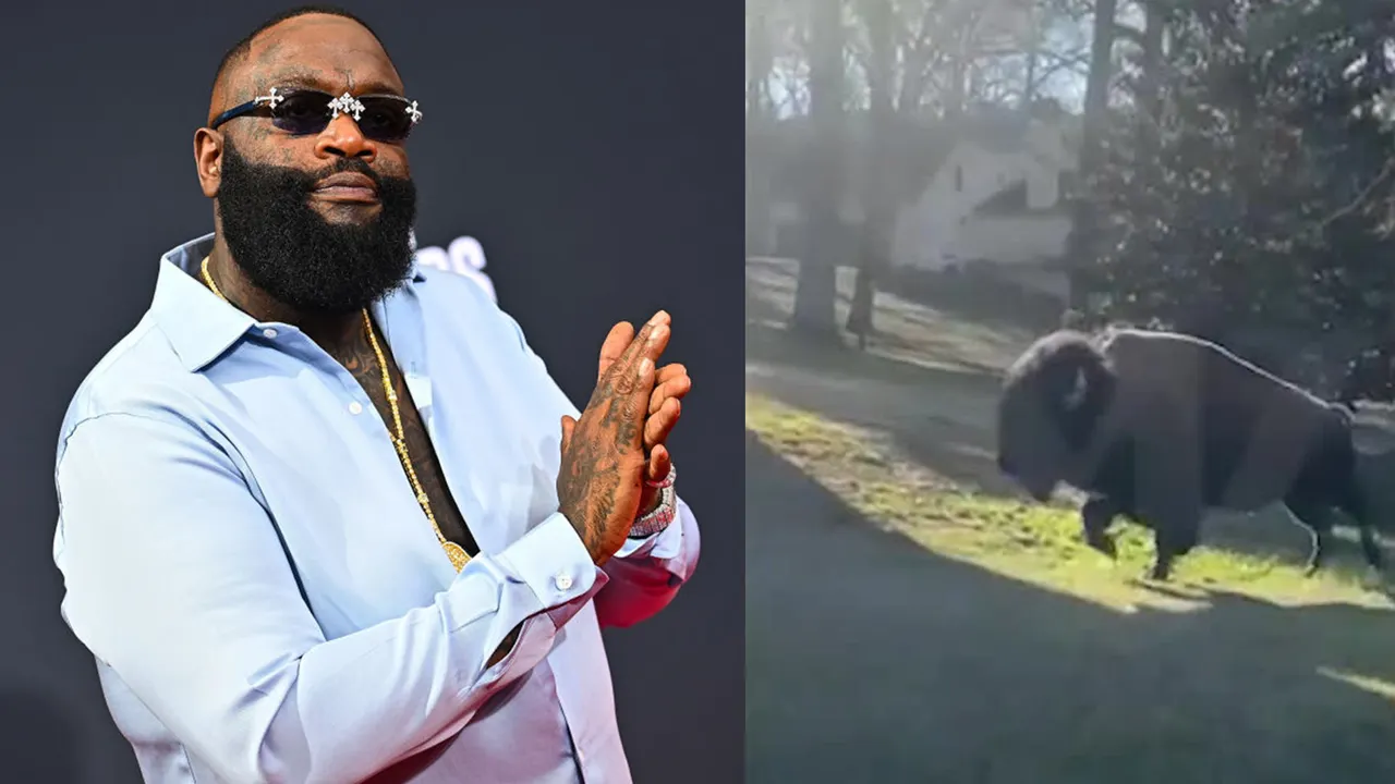 Rick Ross' Pet Buffalos Cause Neighborly Dispute in Georgia