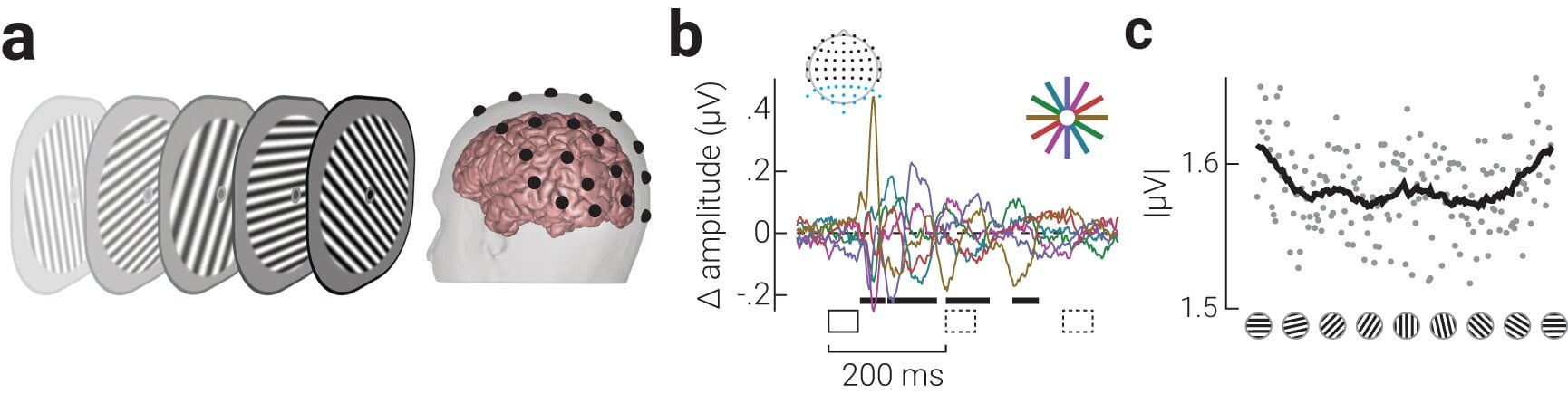 Featured image for "Unveiling the Evolutionary Wiring of Human Brains: Supercomputers in Action"