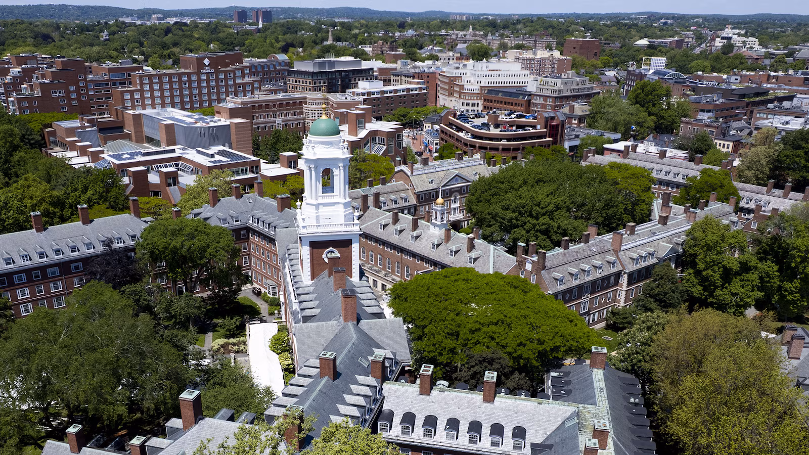 Harvard Researchers Face Massive Federal Funding Cuts