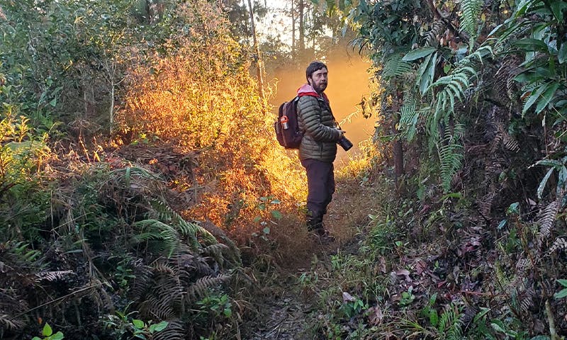 Featured image for "Mind-Blowing Discoveries by a Biologist: Nautilus Unveils"