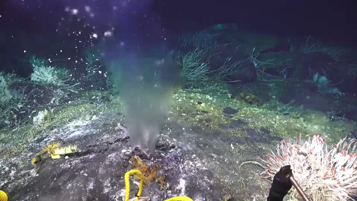 Exploring the Mysteries of Deep-Sea Thermal Vents and Beyond