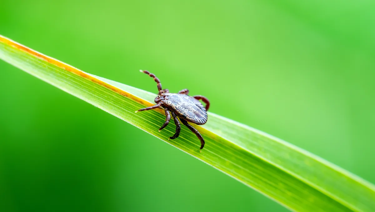 Experts Warn of Summer Resurgence in Viruses and Illnesses