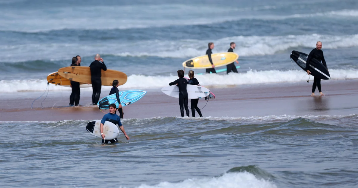 Featured image for Tragic Shark Attack Claims Surfer's Life at Sydney Beach