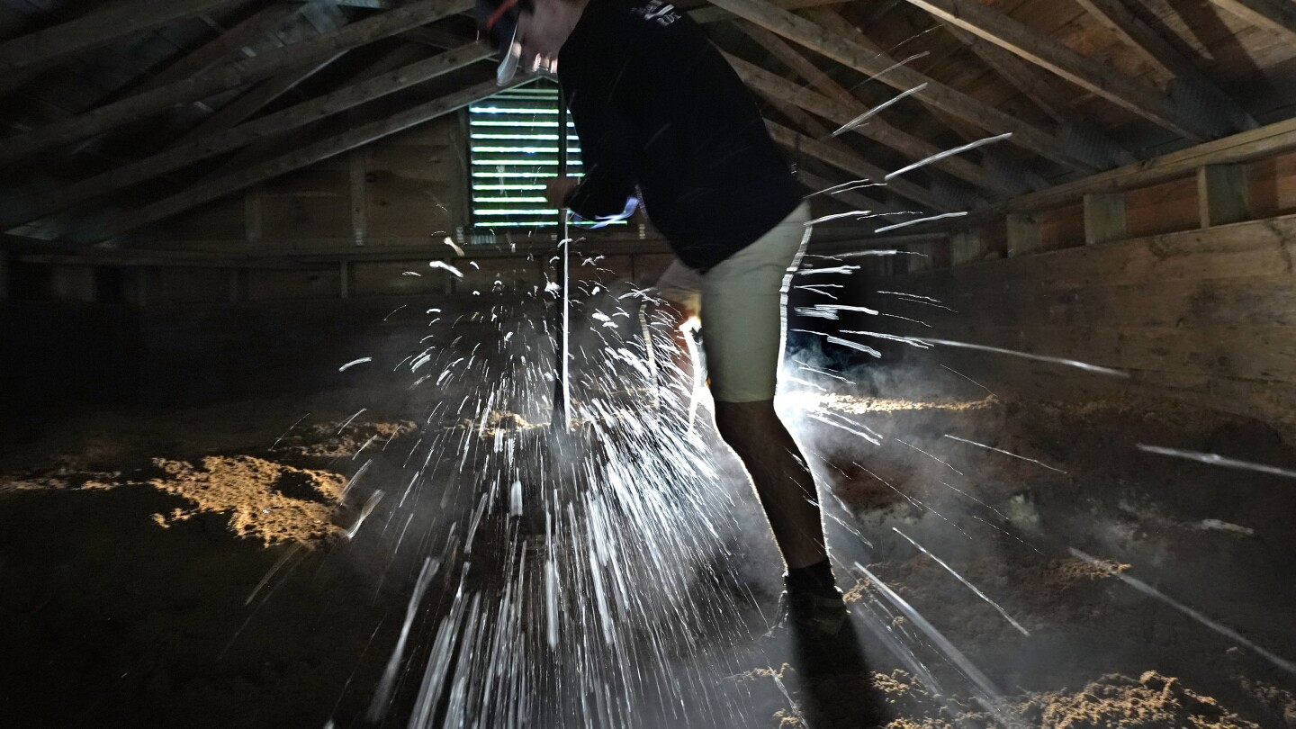 Featured image for Record-Breaking Heat Wave Hits New Hampshire, Campers Turn to Lake Ice for Relief