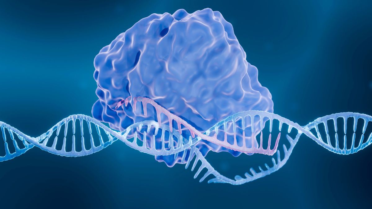 Featured image for "Discovery of 'Fanzor': A Powerful CRISPR-Like System in Animals with Potential for Human Genome Editing"