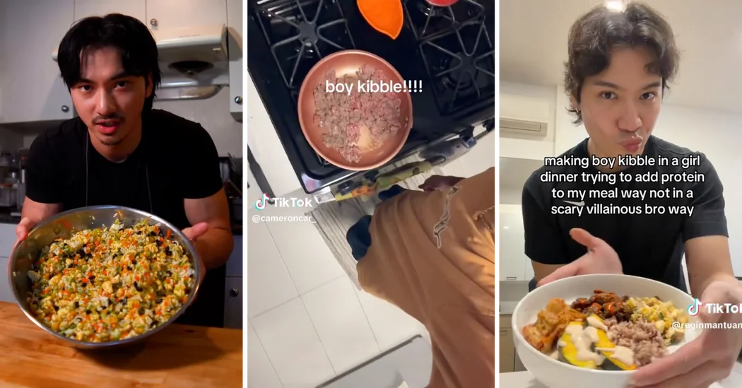 From Slop to Science: The Rise of Boy Kibble