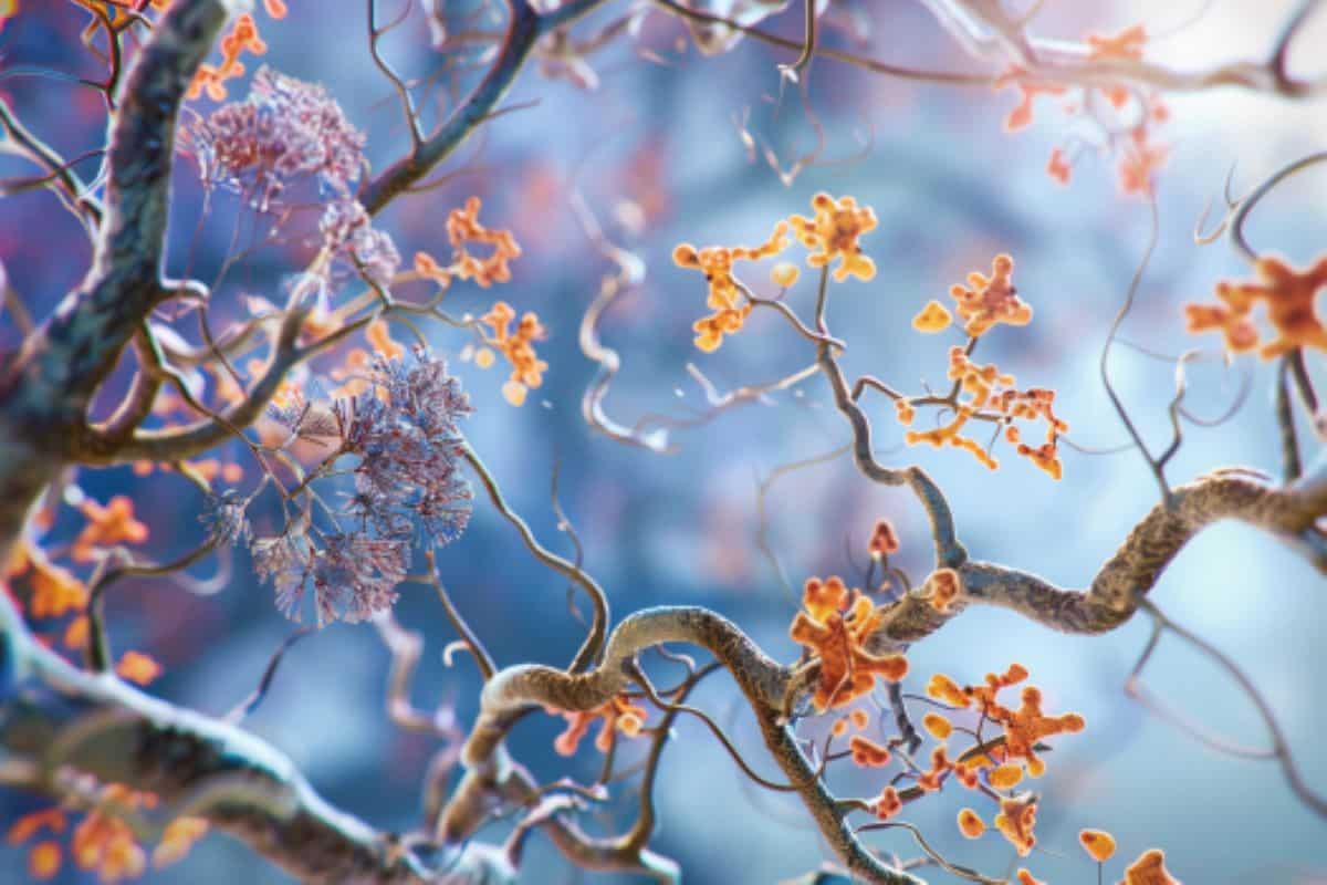 Featured image for "Plexin-B1 Protein: A New Target in Alzheimer's Treatment"