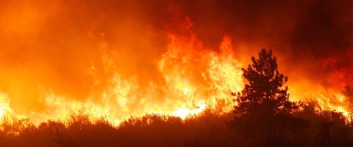 Canada's Wildfires Disrupt Oil and Gas Production, Thousands Evacuated.
