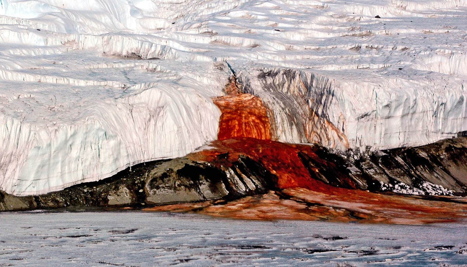 Featured image for Unraveling the Enigma of Antarctica's 'Blood Falls'