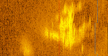 Featured image for "New Discovery: Potential Finding of Amelia Earhart's Plane Sparks Debate Among Experts"