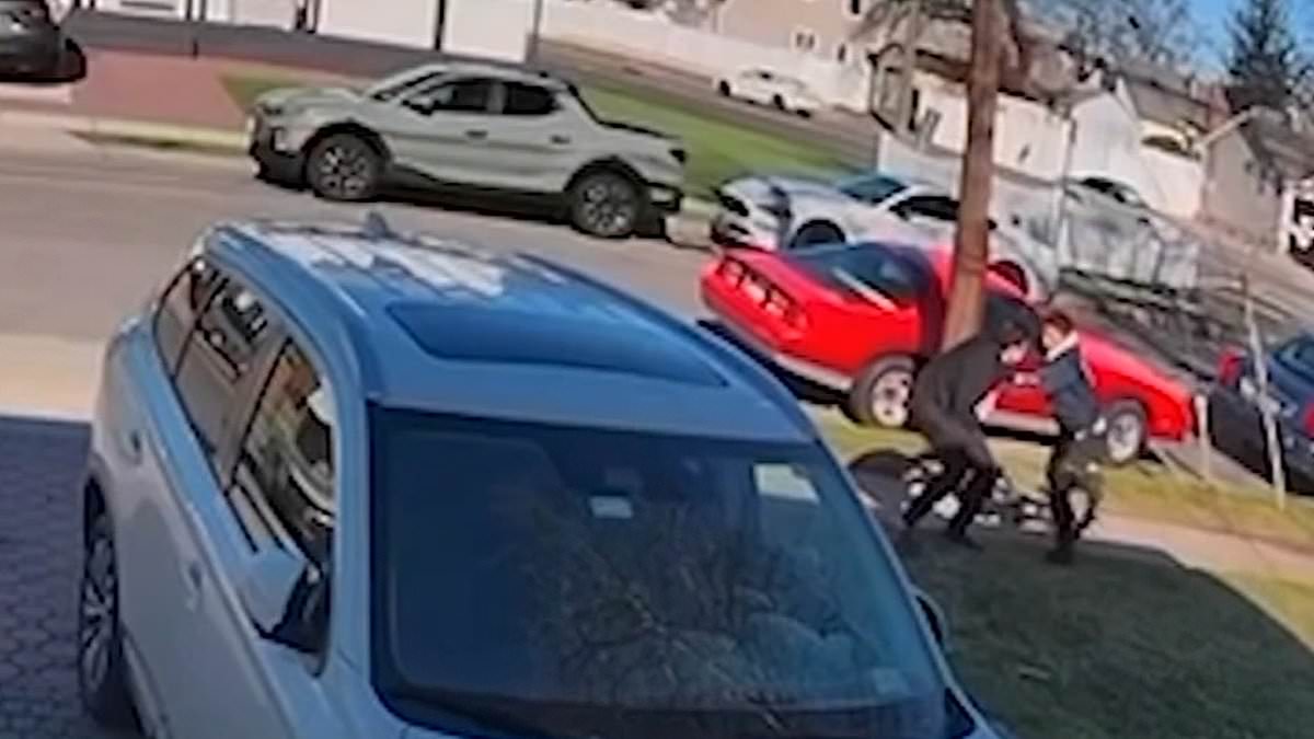 "Assault on Long Island Homeowner: Migrant Attacks After Stealing Pro-Israel Flag"