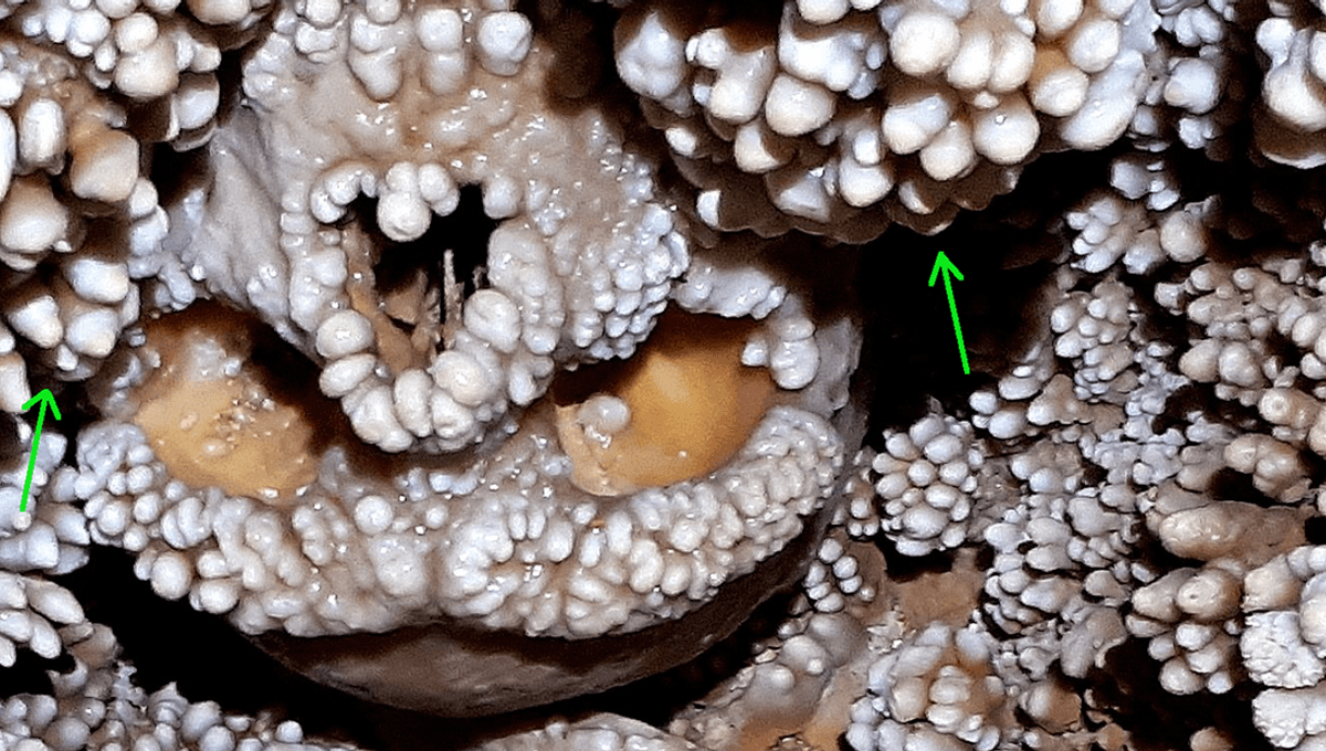 "Tragic Fate of Altamura Man: Embedded in Cave Wall"