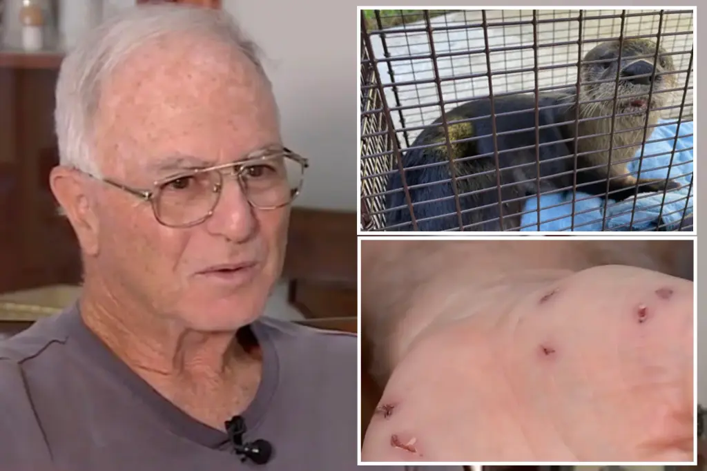 Featured image for Rabid Otter Rampage: Florida Man Attacked 41 Times, FDOH Urges Reporting Suspicious Animals