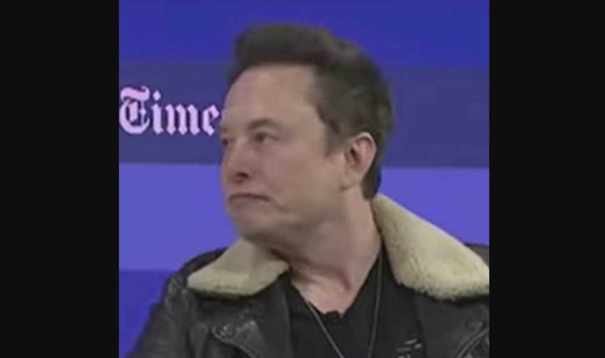 "Elon Musk's Bizarre Reaction at NYT Event Tied to SpongeBob Fish"