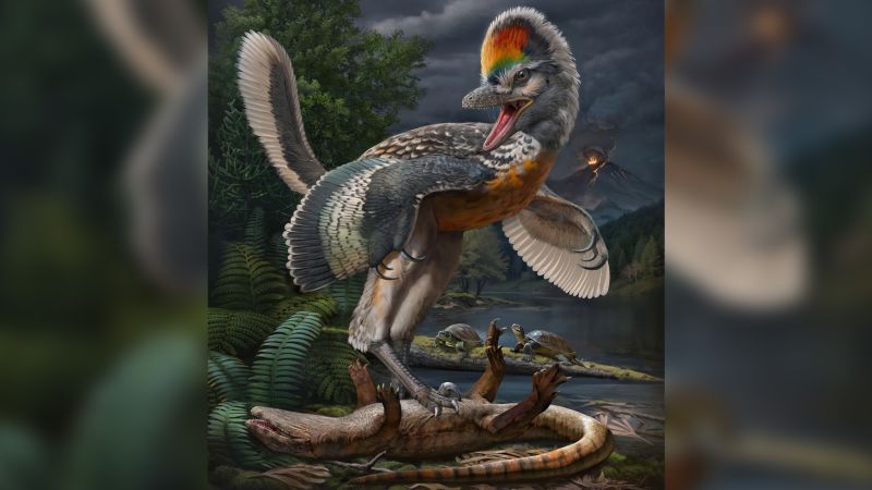 Unearthing a Surprising Link in Bird Evolution: The Bizarre Bird-like Dinosaur Discovered in China