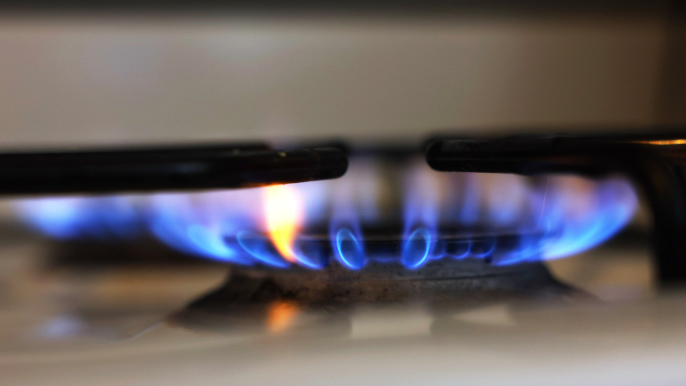New York leads the way in banning fossil fuels and natural gas in new construction.