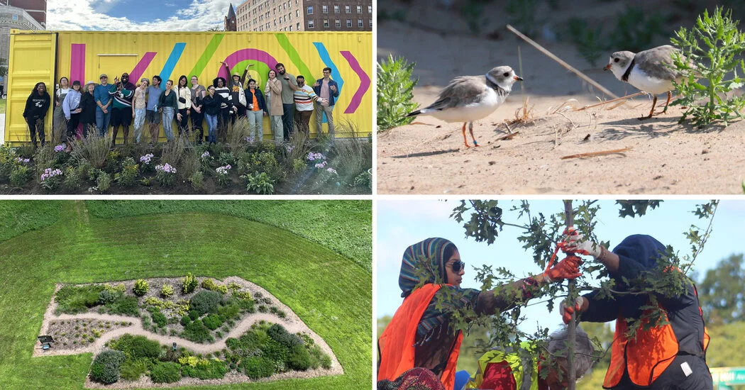 Featured image for Community Eco-Friendly Projects Spotlighted by Readers