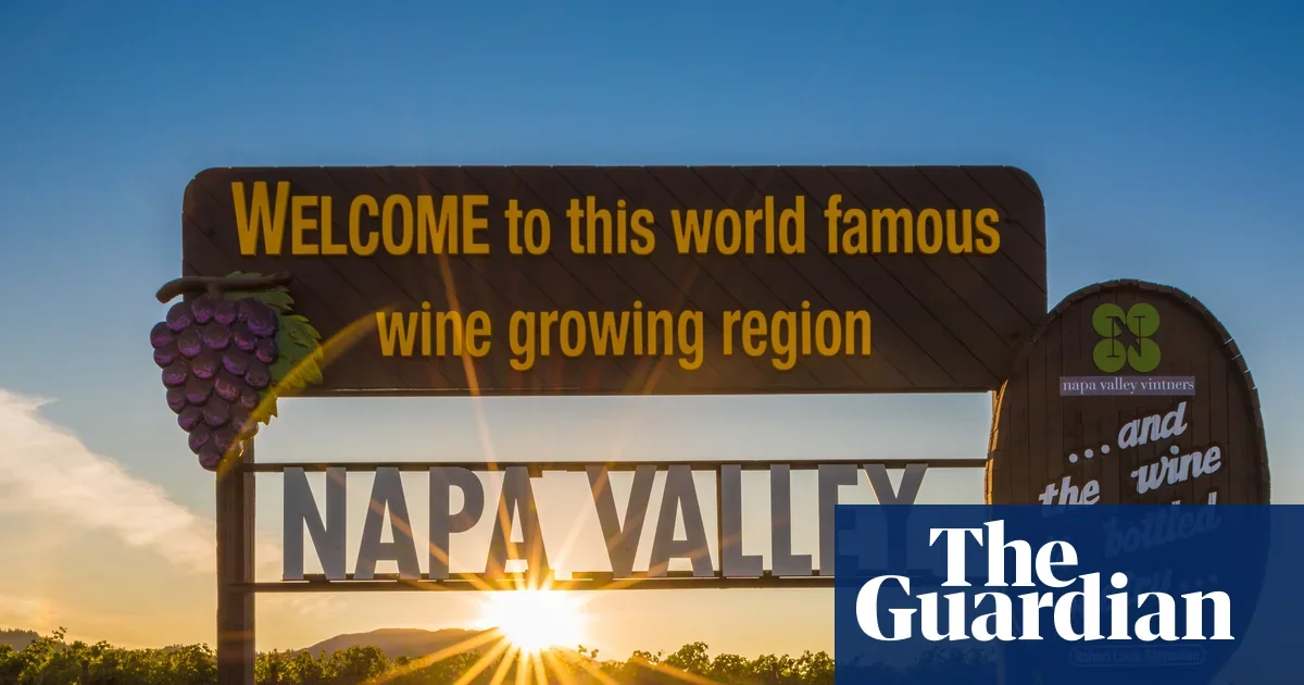 Napa Wineries Pivot as Demand Slows and Generations Change Taste