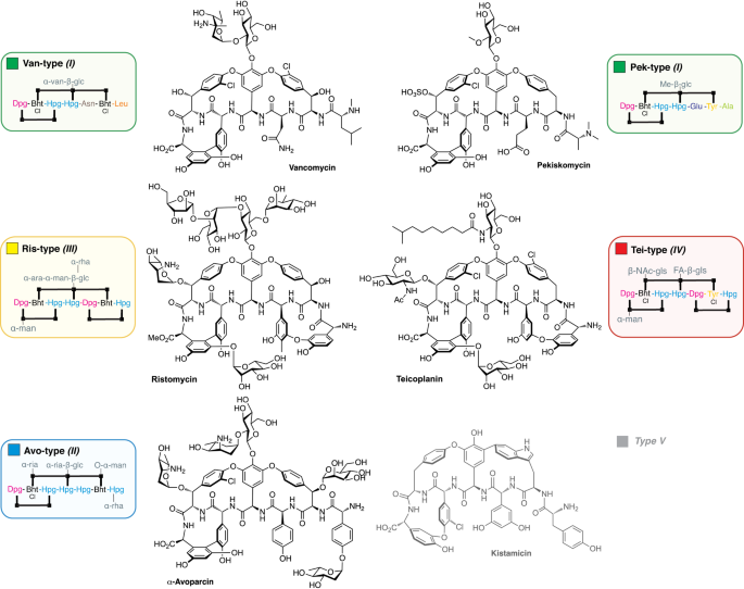 Featured image for Unveiling the Origins of Modern Lipid II Targeting Glycopeptides: Resurrecting Ancestral Antibiotics