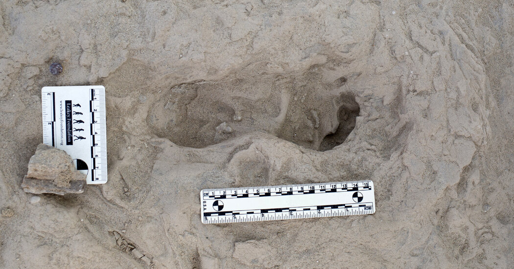 Featured image for Ancient Footprints Reveal Coexistence of Two Hominin Species 1.5 Million Years Ago