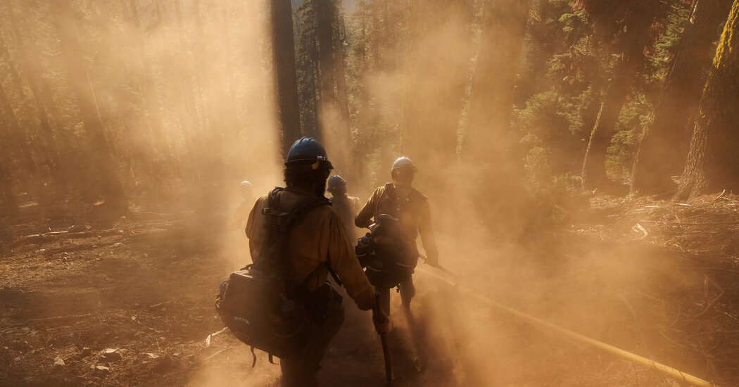 Featured image for "Inside the World of America's Elite Hotshot Firefighters"