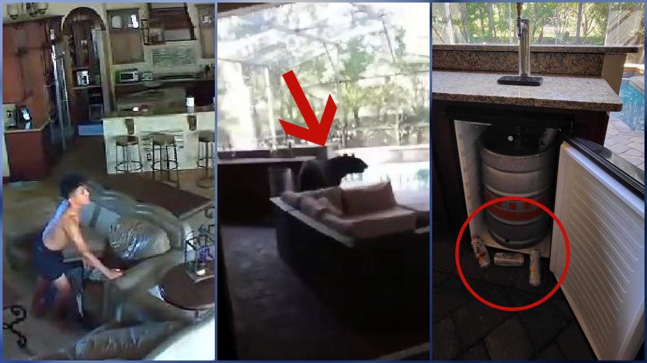 3-Legged Bear Invades Florida Home, Steals White Claws
