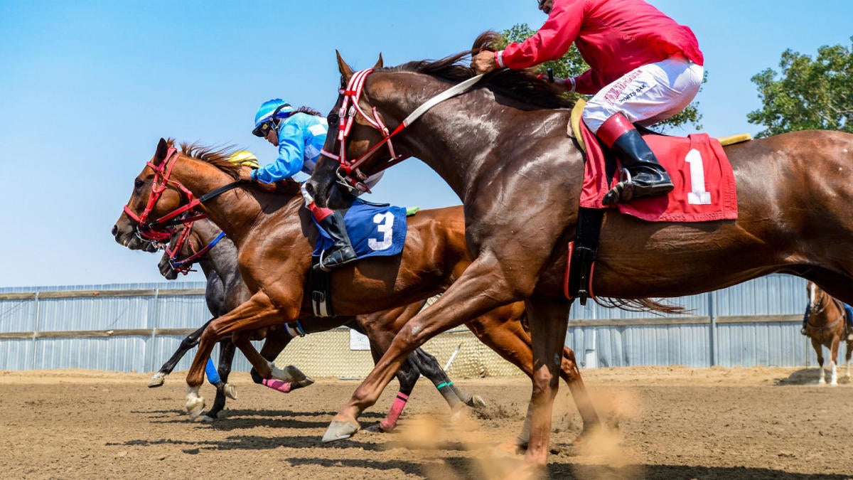 Featured image for Expert Picks and Odds for 2023 Preakness Stakes