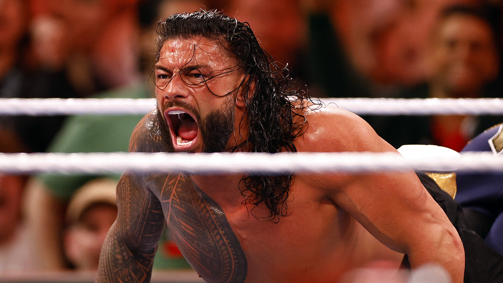 Roman Reigns' Record-Breaking WWE Reign Continues to Impress.