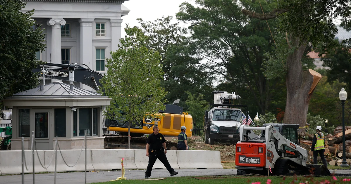 White House Ballroom Renovation Sparks Debate and Excitement