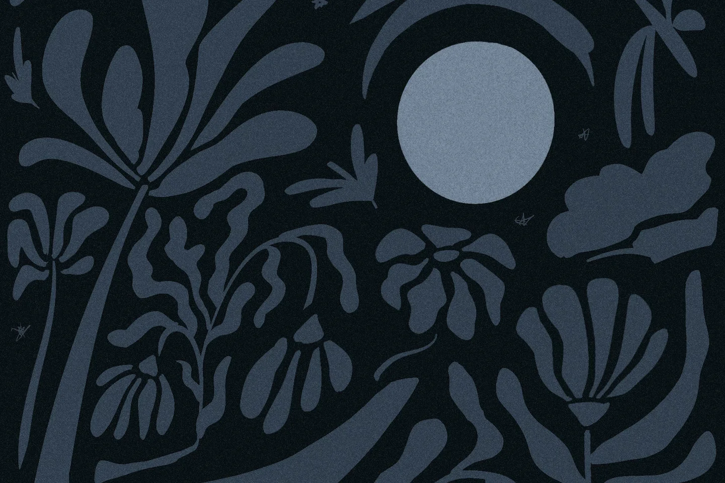 Dim the Night: How Darker Gardens Boost Wildlife