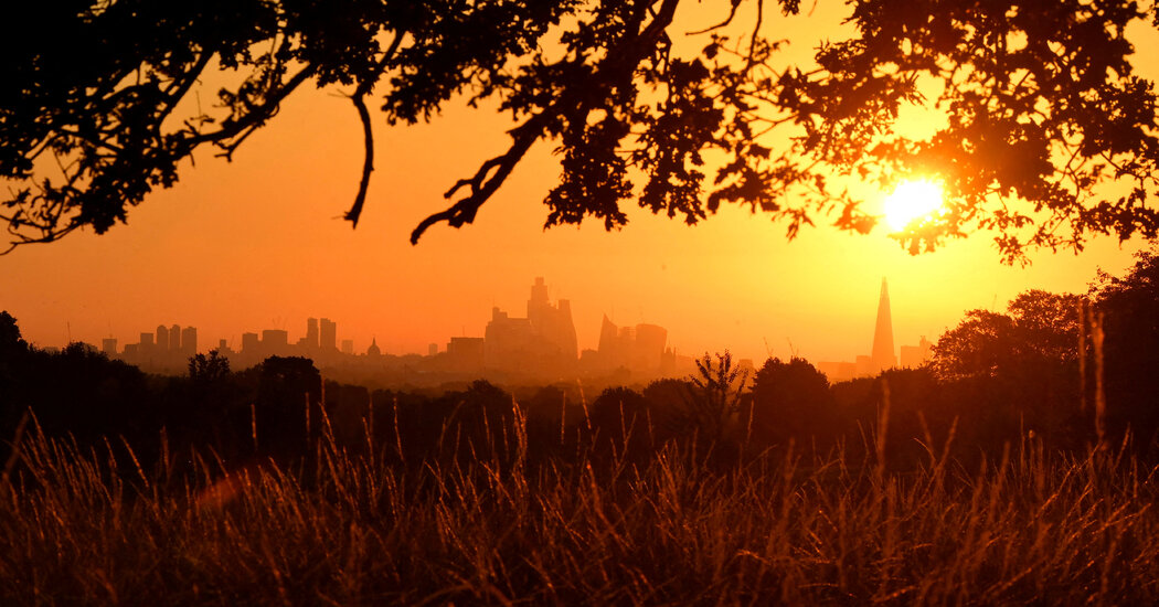 Anticipating the Impact of El Niño on Weather and Food Prices