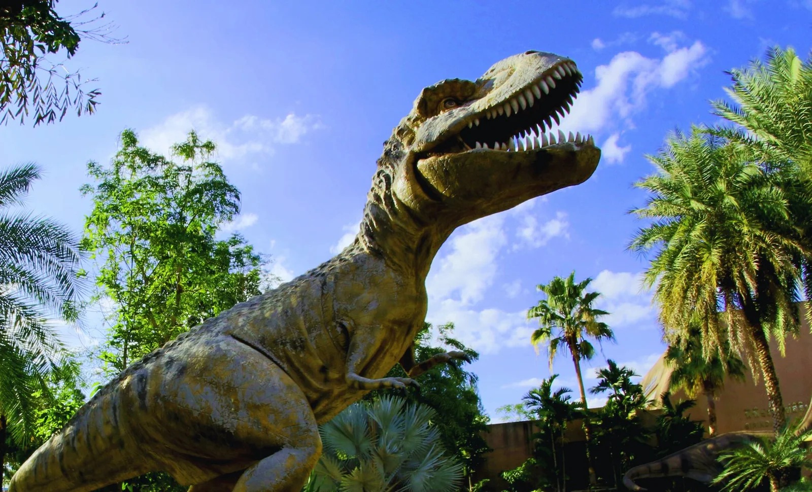 Dinosaur Fossils Uncover Clues to Ancient and Modern Cancer