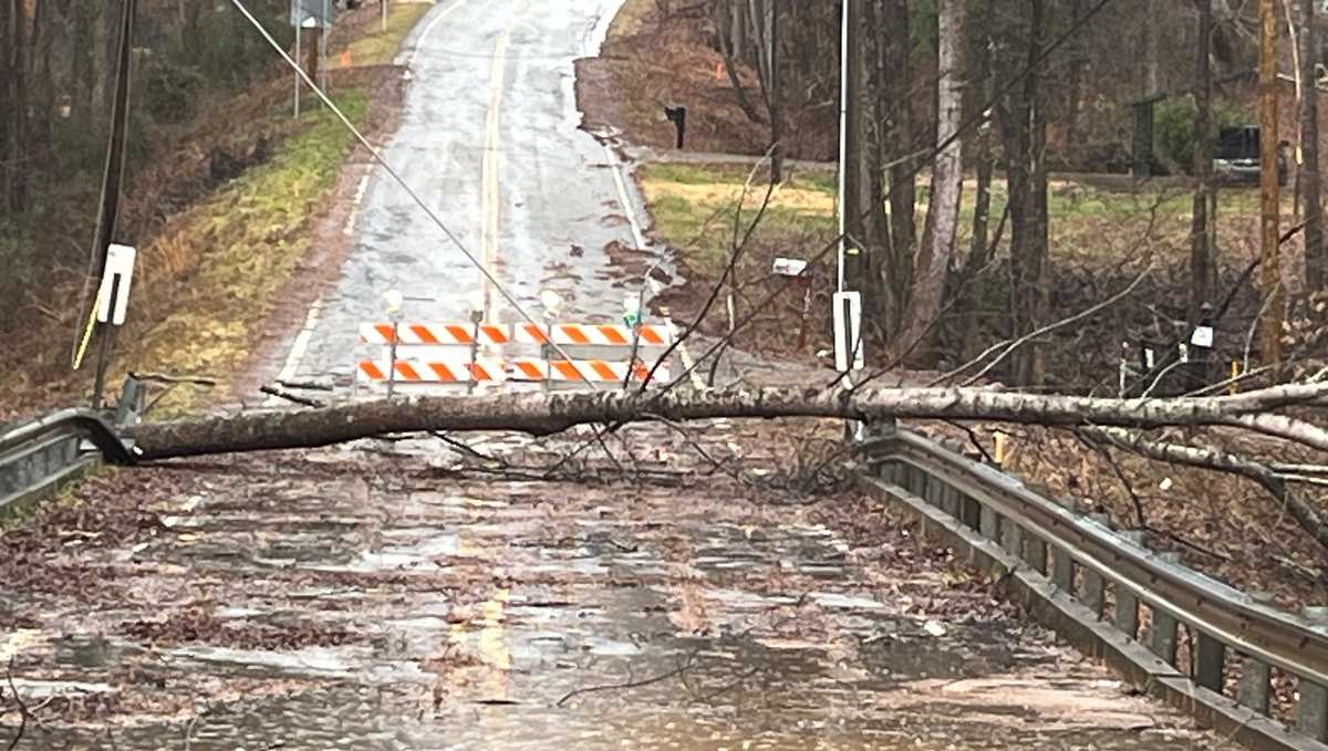 "Severe Weather Alert: Strong Winds and Heavy Rain Hit Southeastern States"