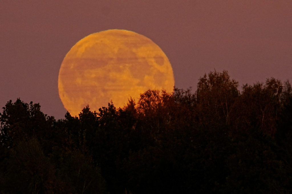 Catch the Final Supermoon of 2024: November's Beaver Moon