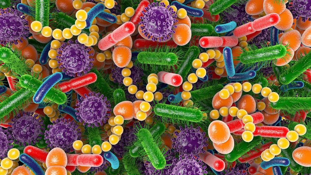 The Aging Process: Unveiling the Power of Gut Bacteria