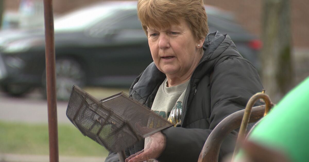 Featured image for "Cracker Barrel's Antique Sale Sells Out Twice in Record Time"