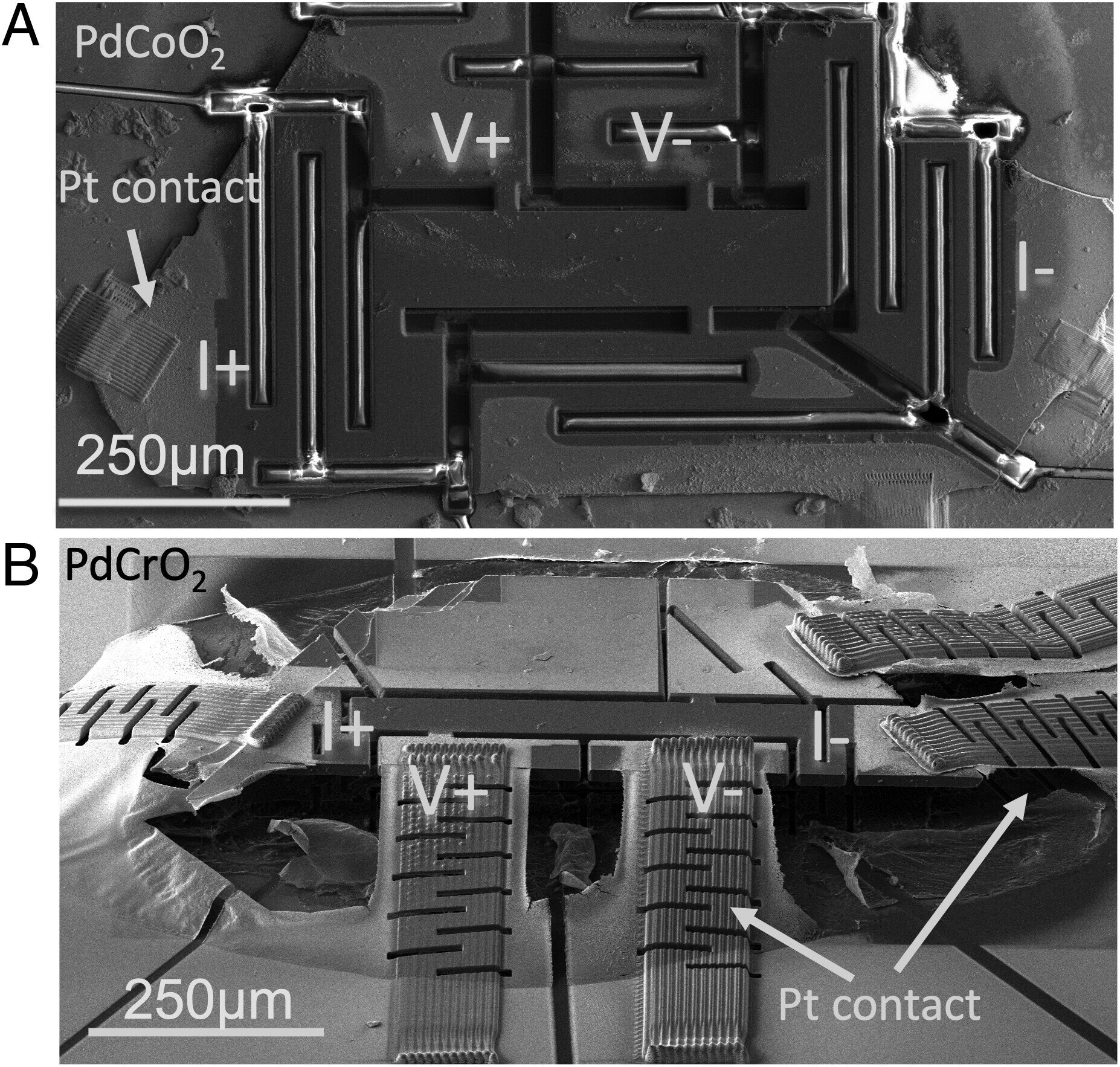 Featured image for Unraveling the Quantum Puzzle: Comparing 'Sister' Compounds Holds the Key