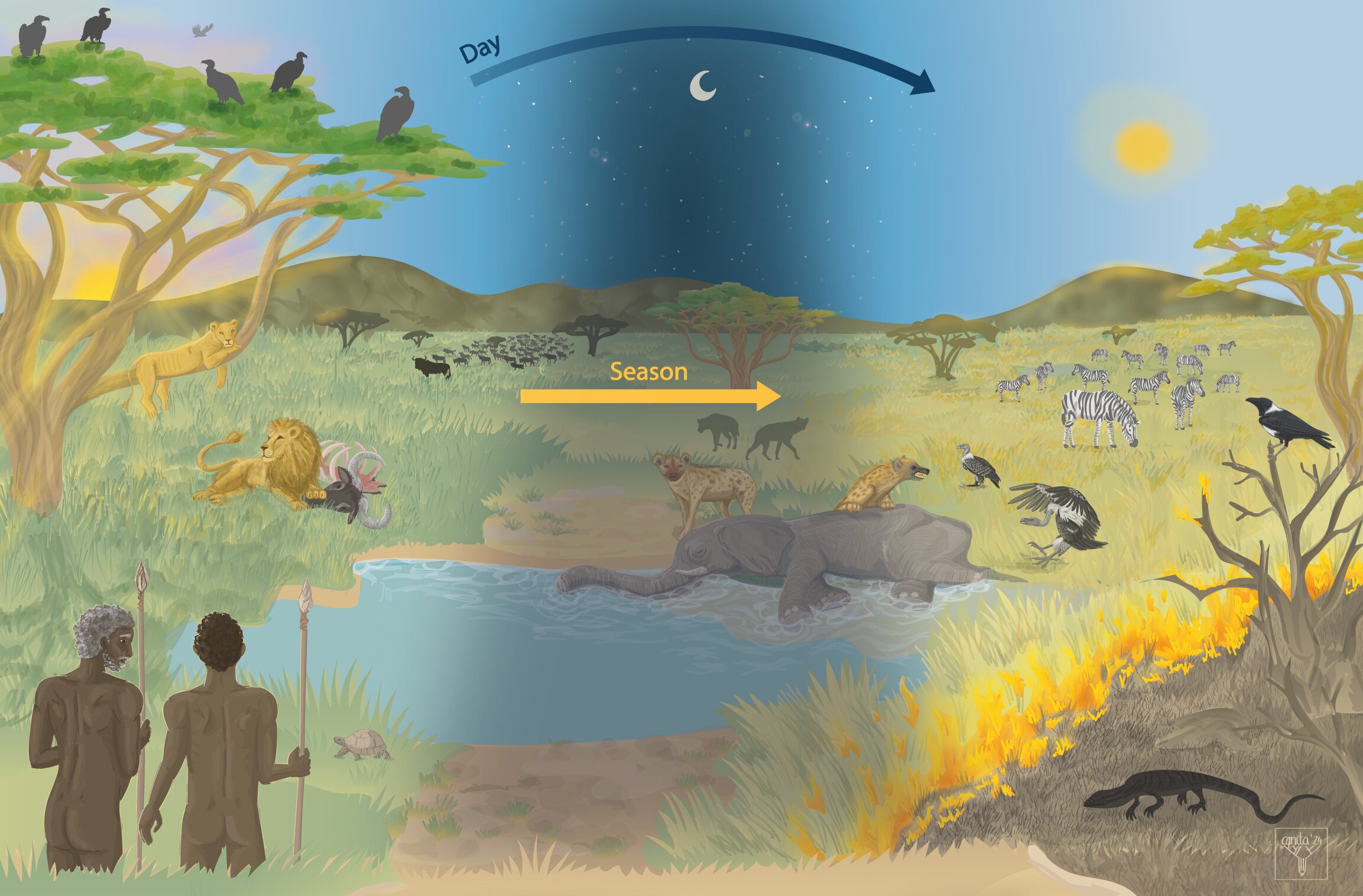 Featured image for Scavenging and Human Evolution: The Role of Carrion in Our Development