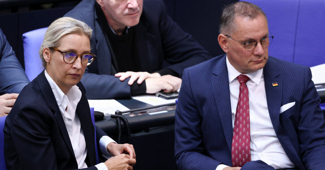 Featured image for Germany's Far-Right Seeks to Rebrand While Fostering Division