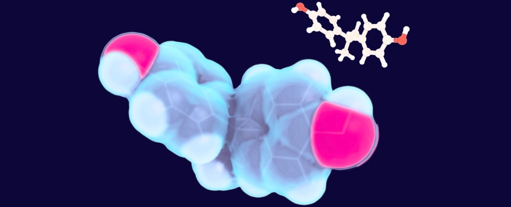 Featured image for Higher Toxicity Risks Found in Children with ADHD and Autism