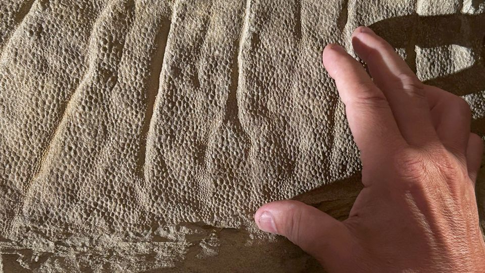 Featured image for 66 Million-Year-Old Dinosaur 'Mummy' Skin Revealed as Ancient Clay Mask