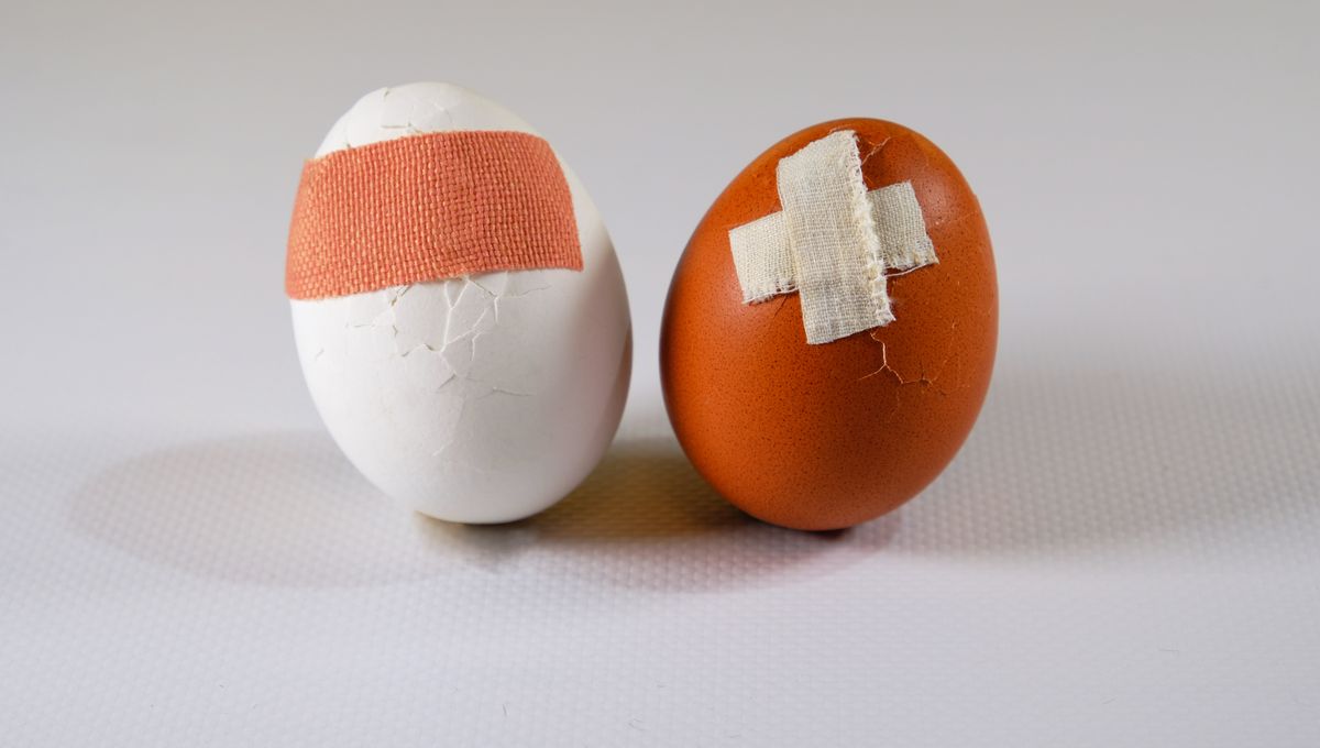 Featured image for The Battle of Pain: Childbirth vs. Testicle Kick