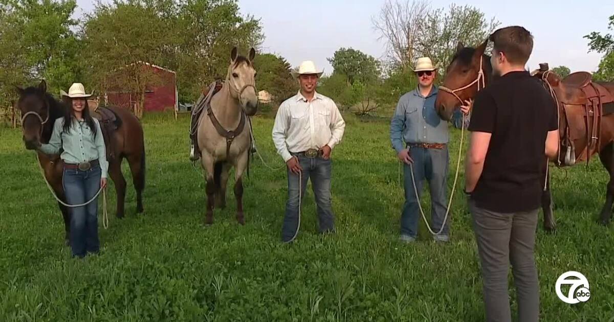 I-75 Cowboy Goes Viral After Roping Steer.