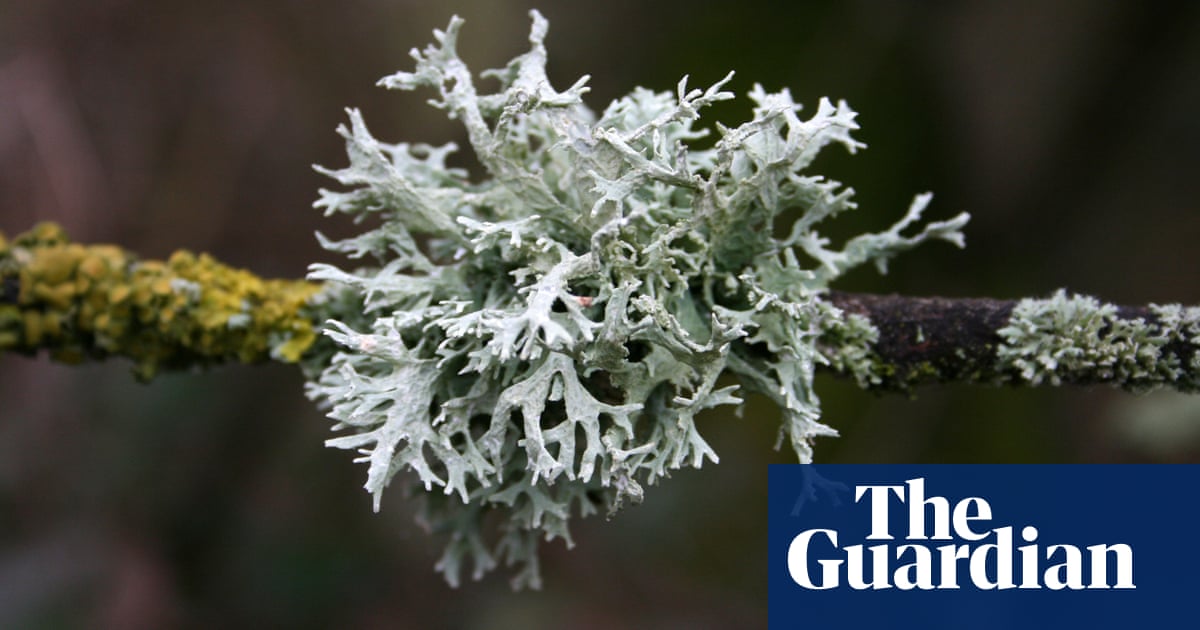 Featured image for "Space Survivor: The Strange Organism Defying All Odds"