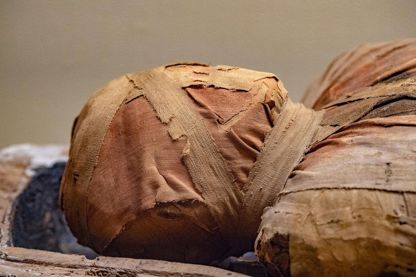 Featured image for Ancient Mummies Reveal Heart Disease Predates Modern Lifestyle