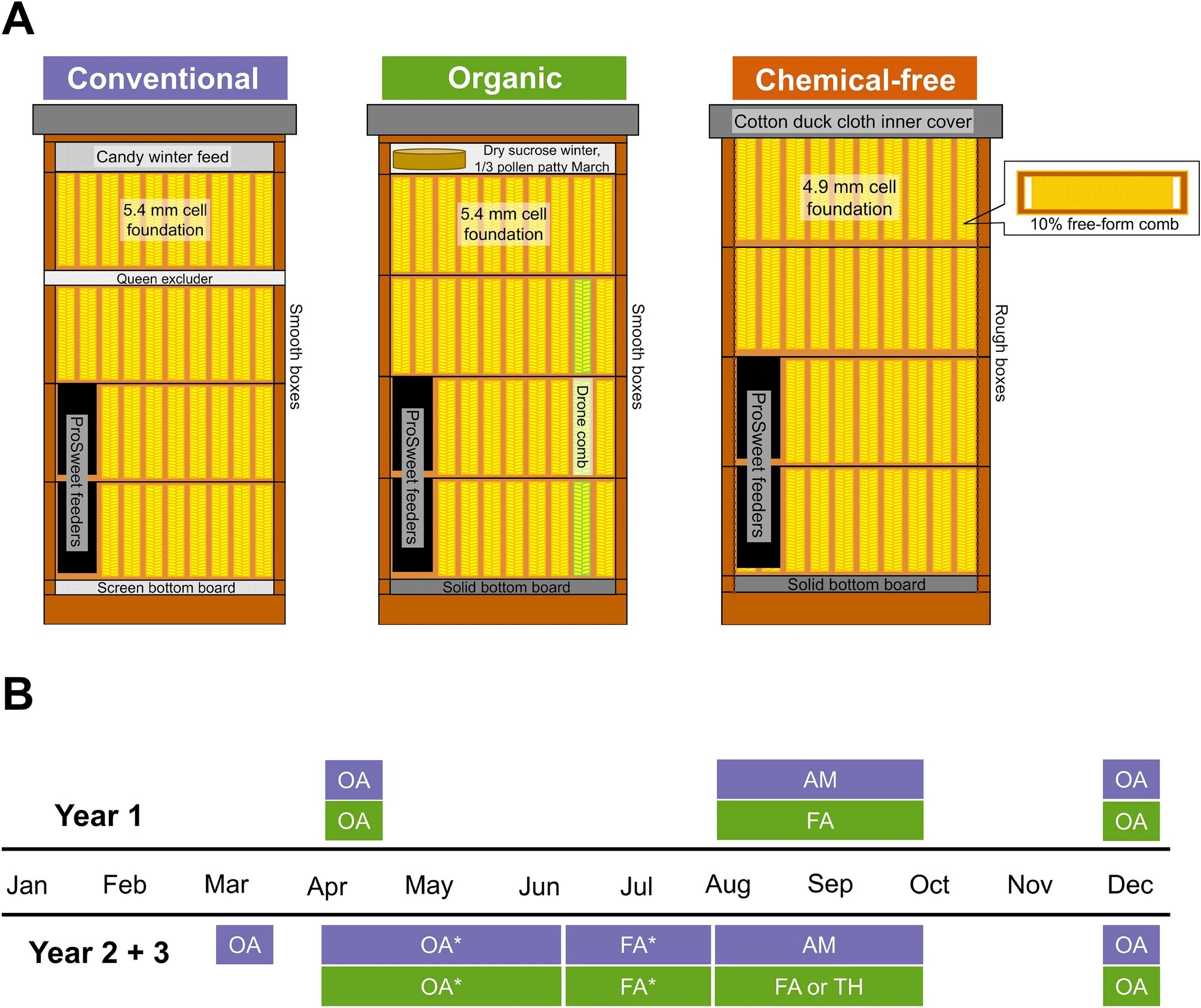 Organic Beekeeping Matches Chemical Methods in Productivity and Bee Health
