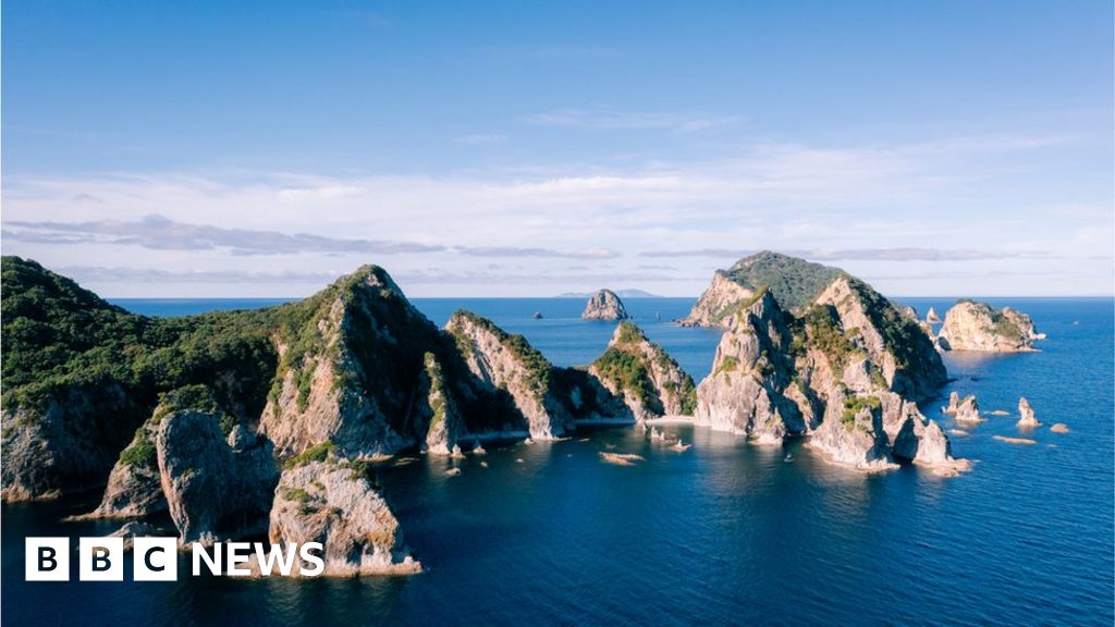 Featured image for "Fisherman's Watch Glimmer Sparks 'Miracle' Rescue from Shark-Infested Seas"