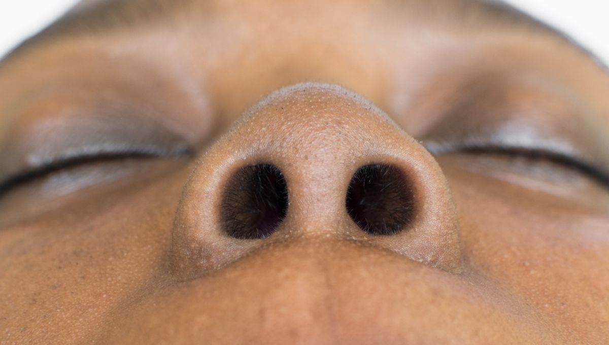 Featured image for The Purpose of Having Two Nostrils